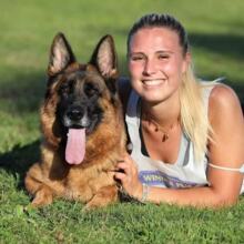 德国牧羊犬幼崽活物纯种双血统德国牧羊犬警犬护卫犬宠物犬活体