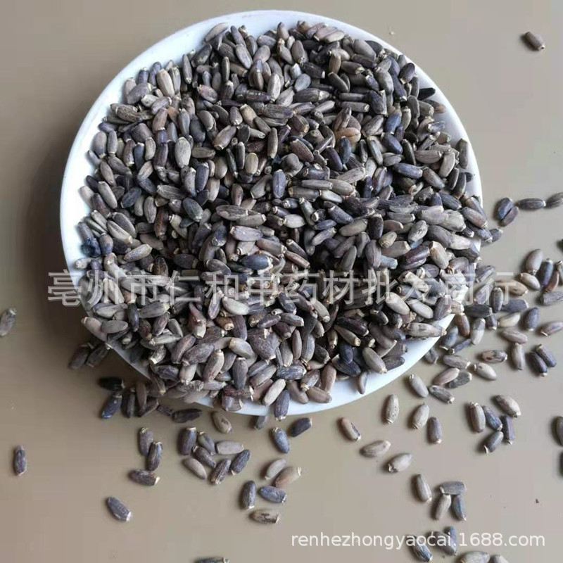 Milk Thistle Seeds (Silybum marianum) — Dried Shui Fei Ji Food Herb, 500g quality and texture