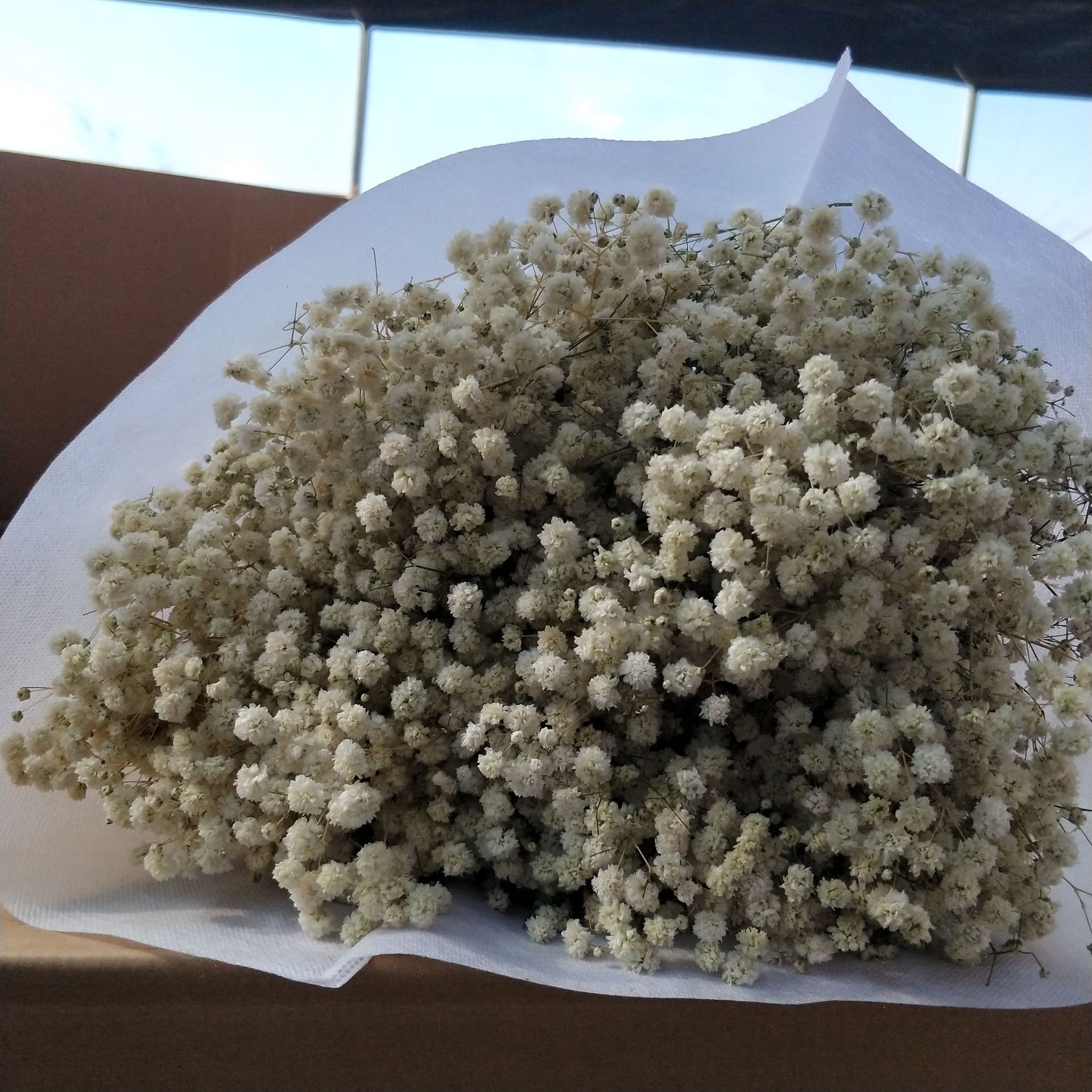 微信图片_20211210003410