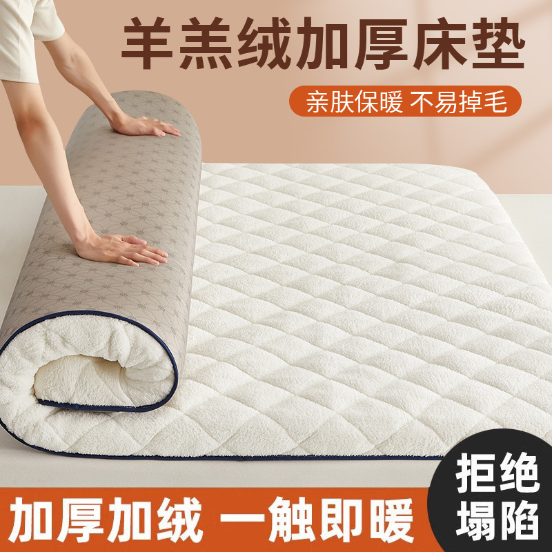 Winter New Lamb Velvet Mattress Fleece-Lined Warm Cushion Household Mattress Cushion Milk Velvet Dormitory Mattress Quilt