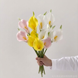 ��������滨���ռٻ������m��c��ˇ�����R��ɏ��Y�����S�����l