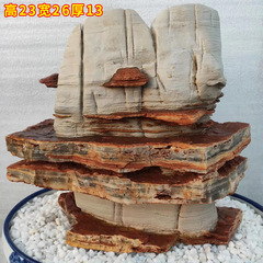 一物一拍太行山奇石天然太行石千層石假山擺件魚缸造景景觀石怪石