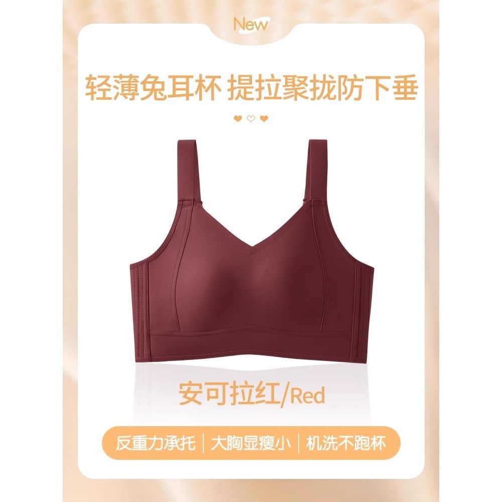 앵커 레드