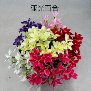 30 �^������ˮ�ٺϻ��� ���滨 �������֦�Ҿ���ػ�ˇ �bٻ�