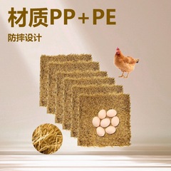 鶏の巣マット、水洗いできる人工草の巣箱、卵を産む鶏、鶏舎のベッド用品用の巣