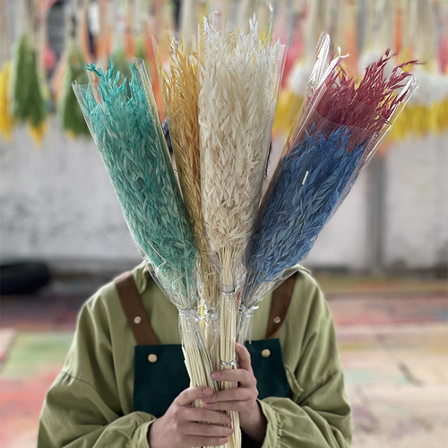 Oatmeal dried flower guest restaurant home decoration DIY material wholesale bouquet creative internet-famous photo prop preserved flower