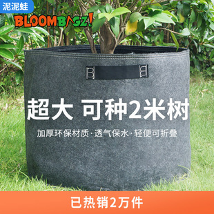 ������ʽ�N�仨��ڏ��Ӻ����N������������ͥԺ�ش�Nֲ�����N