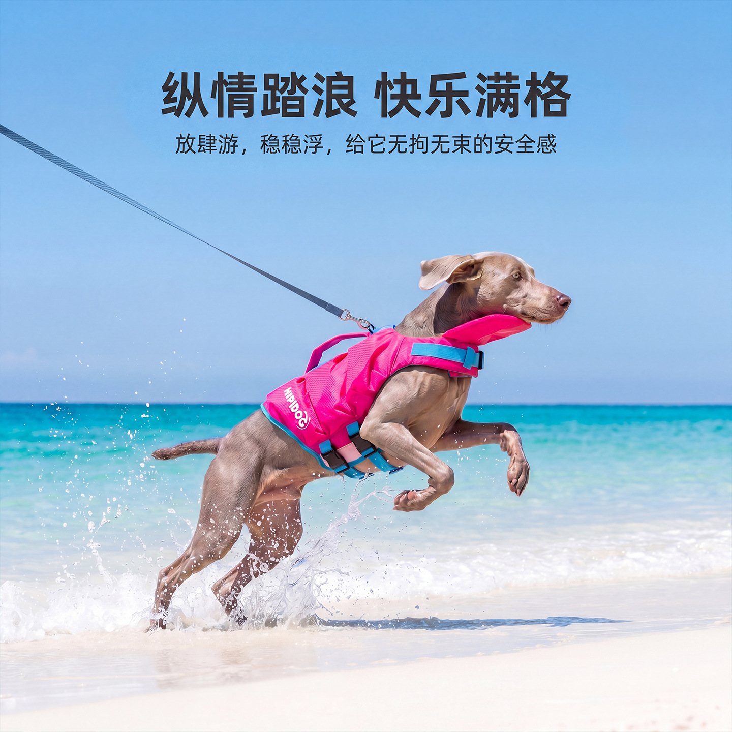 Verano nuevo chaleco salvavidas para mascotas color contraste trajes de baño poderosos perros flotantes natación comercio exterior ropa de perro