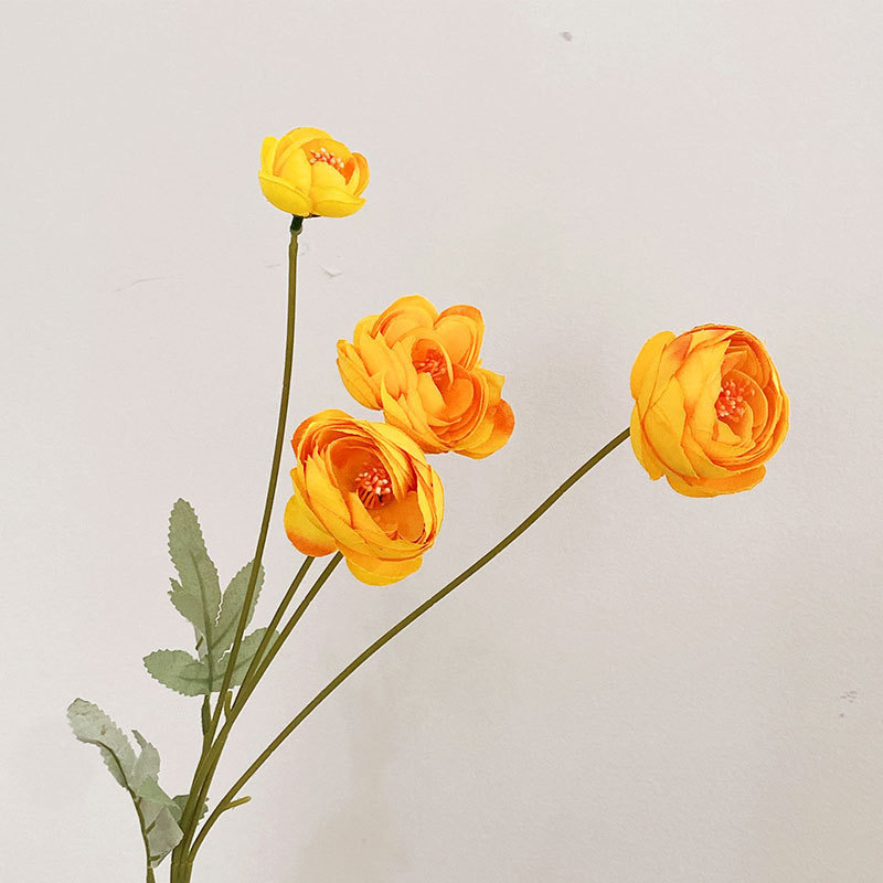 4개의 차 장미-샴페인