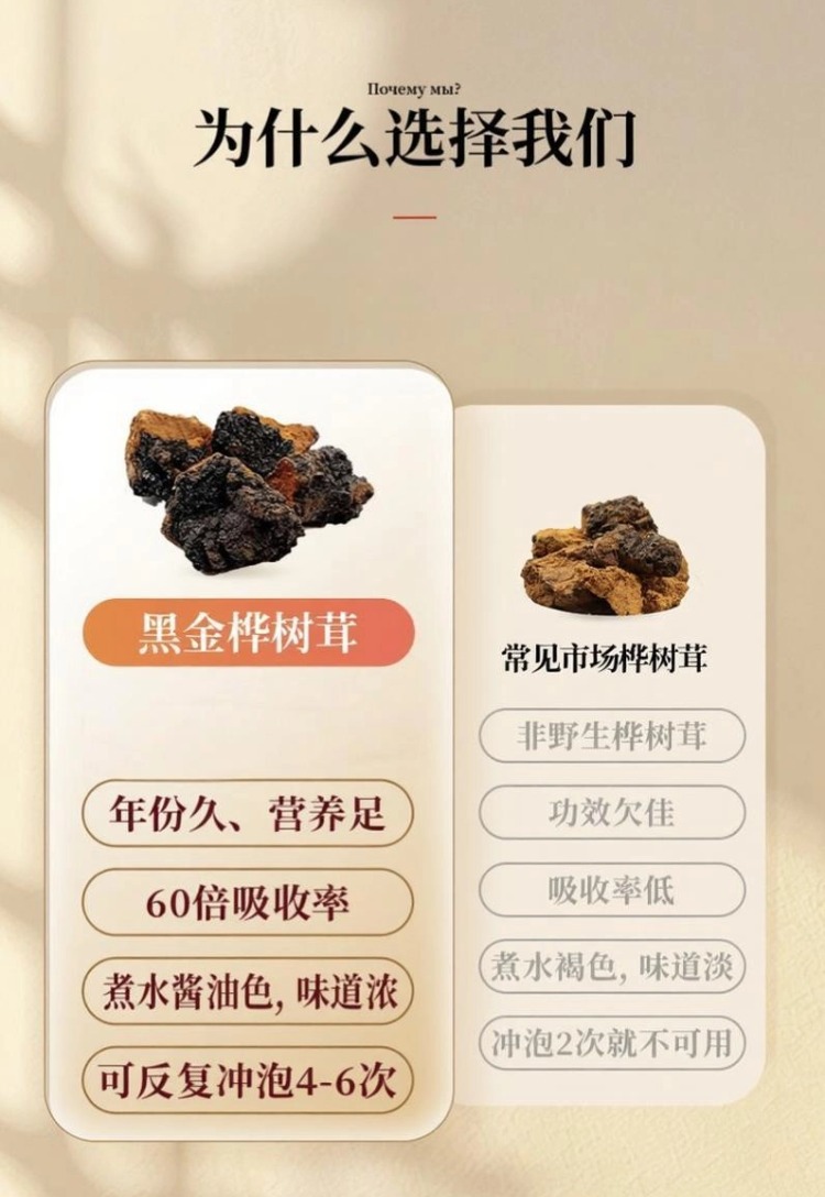 Wild Birch Chaga Mushroom Dark Extract Deep Aged Direct From Origin 500g Culinary Use specifications
