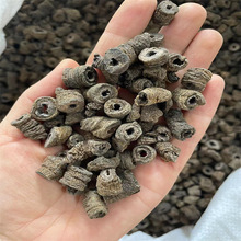 �}�����500g ��ș�ĬF؛���l�����˰���� �ư��