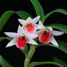 ƷʯϡF}̨kһܾGֲ1m