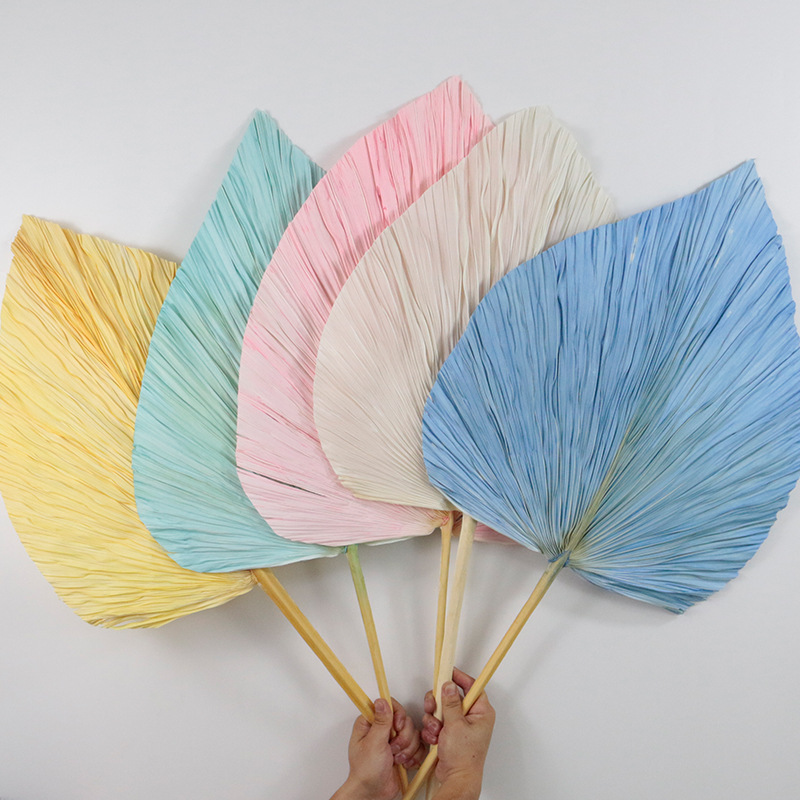 Wholesale palm leaf dried flower bouquet fan-shaped cattail leaf natural plant living room decoration ornaments flower arrangement wedding supplies