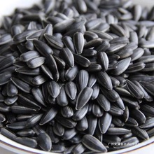 小椒盐油葵新货葵奶香500g2025年黑珍珠原味生油炒熟瓜子油磕现