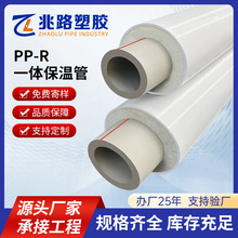 PPR���ع�PVC�⚤ �՚��ܷ����͉���ĥ �����ͺ� �Ĵ����S