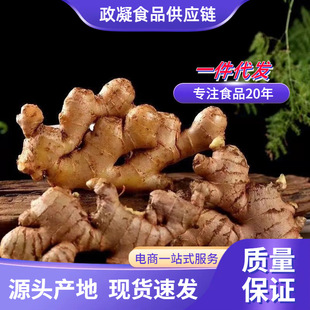 ���С�S�� ���l3/9�ﮔ���߲����������������r����ɽ�|��