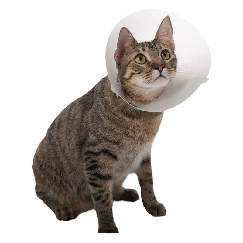 Кольцо Элизабет для домашних животных Защитный чехол для собаки для медицинской хирургии Головной убор с защитой от царапин Кольцо против лизания Кольцо для кошачьего позора