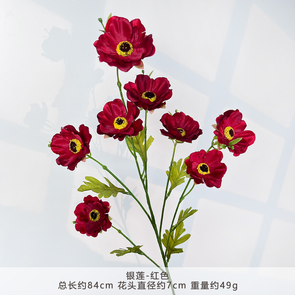 Wp - anemone - red