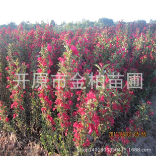 �t�����\������G�h�����ļ��\����ľ�|������ľ�t�����\��������