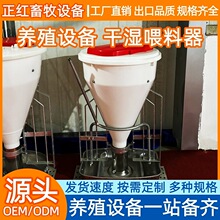 ���t�����O��ɝ�ι���� �ɝ��ϲ��Ԅ����ϲ��i�����P�ι����