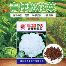 �T����65���๣�ɻ��˷N�ӿ������컨Ҭ�˷N�ѾG�˻��߲˷N�����l