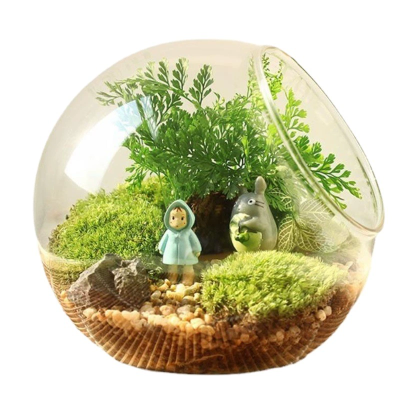 Косая стеклянная сферическая ваза стеклянная мясистый гидропонный цветок микропейзаж стеклянная бутылка ландшафтный дизайн бутылка из мха сырая бутылка