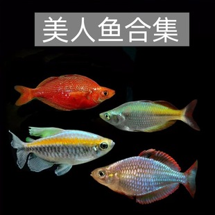 ʯ�����~���w�O�������{�������ӄ��������~�Ꭷ�^�p�~ˮ���^���l