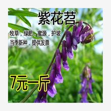 @GʷNӹ~ϻLëҰ㶹ëBԴֲݲ