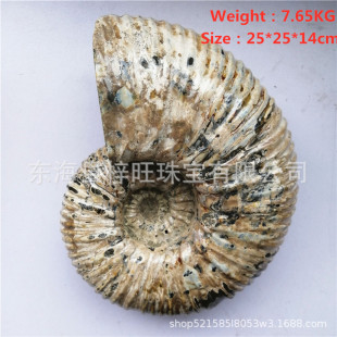 ��Ȼ�ջ��y���ݰ߲��ݻ�ʯԭʯ�[����ʯ���ݹ����ﻯʯ�V��˱�