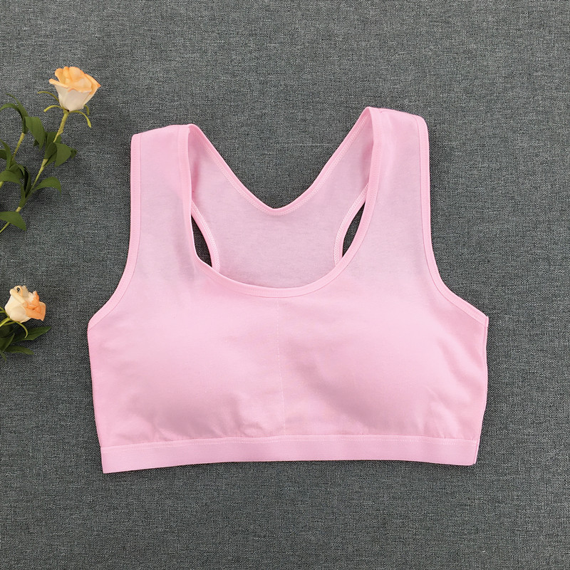 002 ropa interior trasera rosa