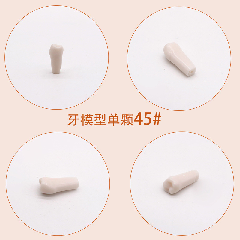 Práctica dental resina de partículas dentales dispersa simulación de partículas dentales de resina dientes aislados dientes enteros 28 / 32 partículas dentales