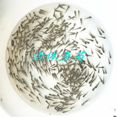 食べ物の稚魚が口を開いて食糧を与えやすい魚は小型の養う飼料の幼亀のカメのフナの小さい仕事をします。