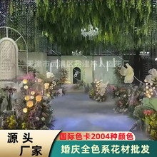 Gֲ Gɫc滨 ɭϵ Nɫ Hɫ2004Nɫ