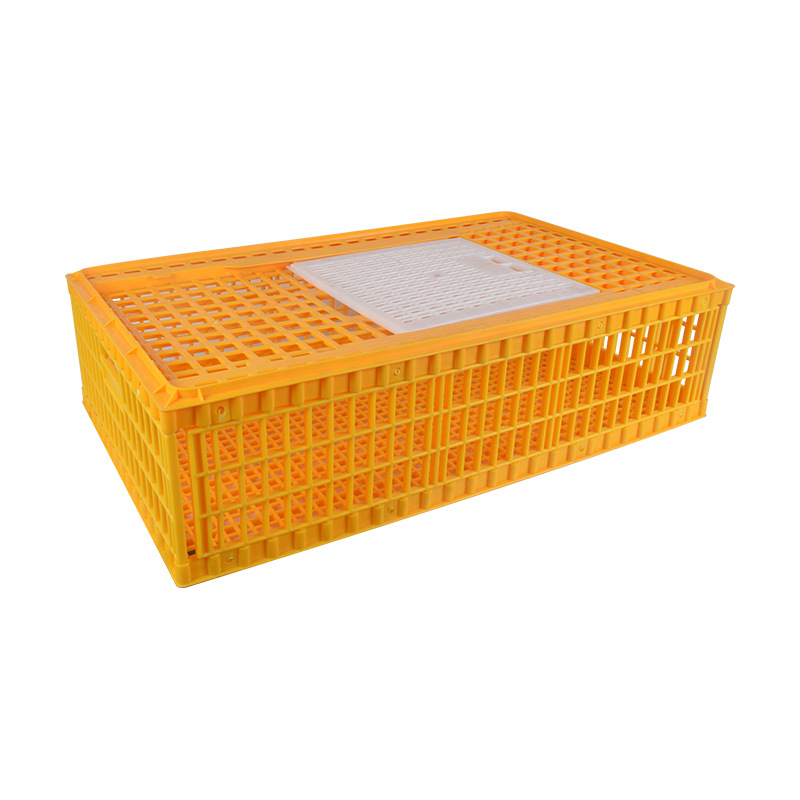 Tipo de exportación caja de facturación de jaula de pollo de transporte de cría de plástico hogar cesta grande en pollo pato ganso paloma jaula de conejo