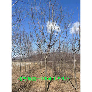 ���Ի��ع��� �|�� �����Ә������l ���^�G���乤�̘���