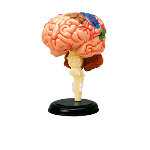 ���X����ģ�����w�Ұ��X���܅^���X���X�ɽY���օ^�t�W�̌W�þ�