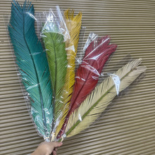 永生铁树叶 真花保鲜花铁树叶婚庆居家装饰拍照道具软装背景墙花