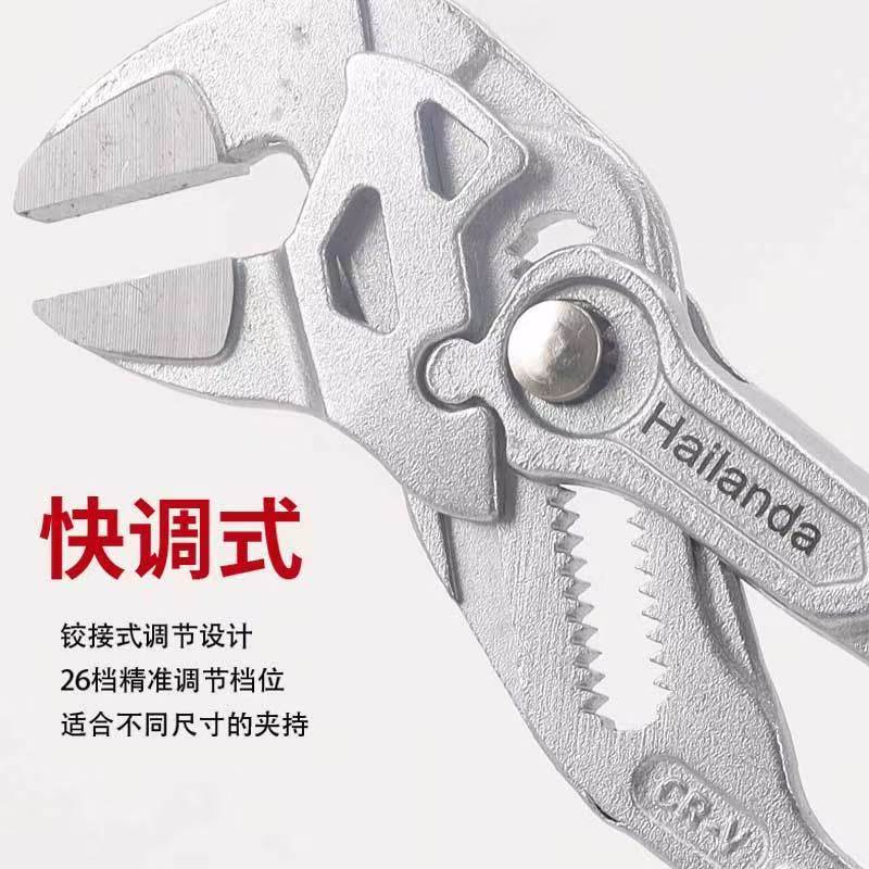 微信图片_202506031623265