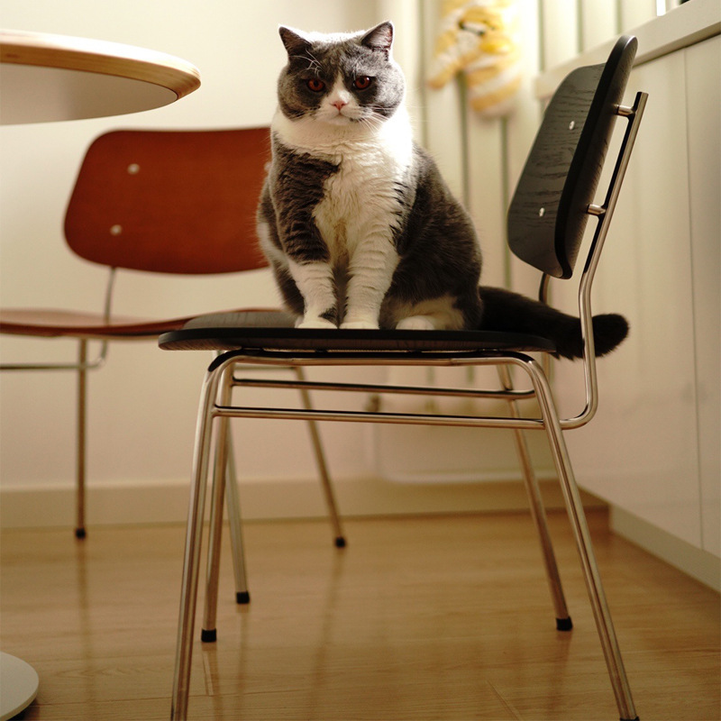 Nordic restaurant solid wood retro dining chair home living room dining table back chair simple designer iron desk chair