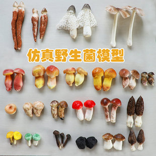 ģ�����Ұ����ģ�ͼ٘ӈ��������߲�����bٵ����Ĕz