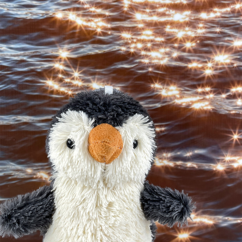 国境を越えたネット赤落花生ペンギンのぬいぐるみが萌えている人形のキーホルダーがかわいいバッグが卸売りされている|undefined