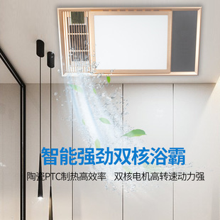Integrated Ceiling Heater for Home Use, Bathroom Heater with Led Light, Multifunctional All-In-One