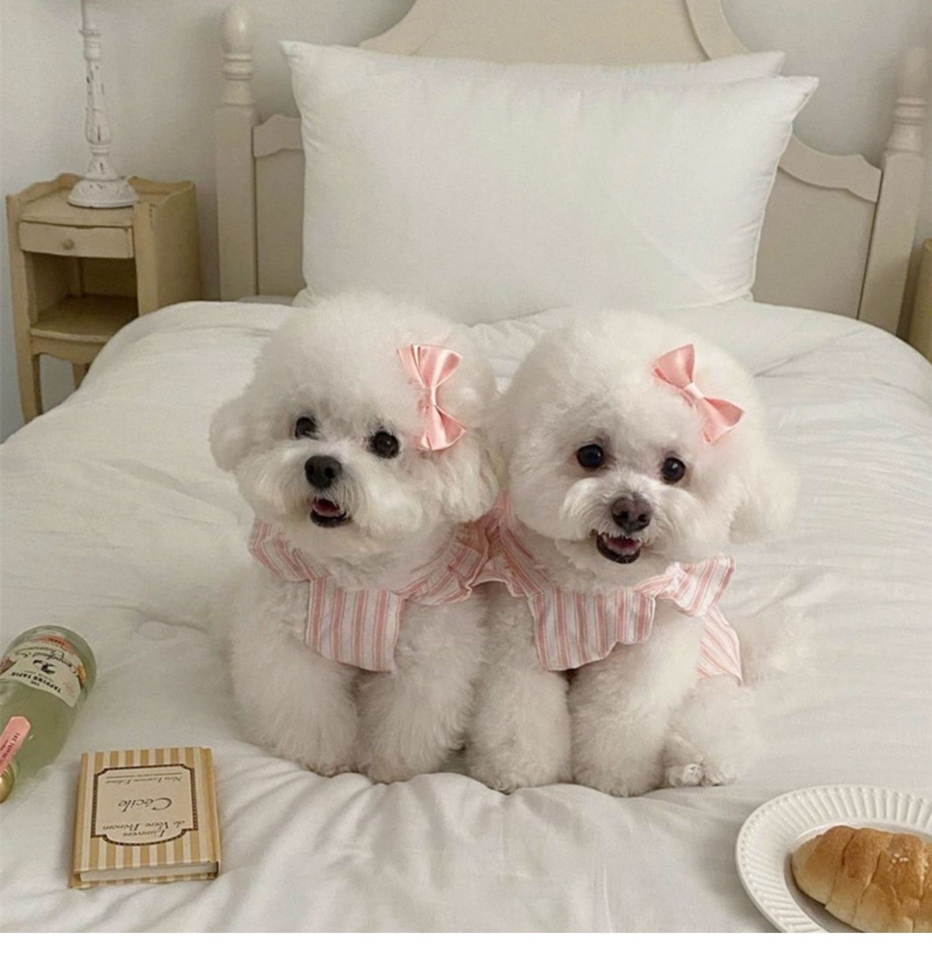 Robe de princesse d'été pour chien petit chien et chat_voghion.com