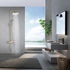 HIDEEP淋浴房明裝拉絲金淋浴花灑套裝廠家批發現代簡約型15595 04