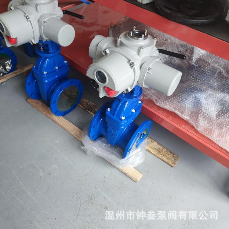 Z945X-25C 可加长杆弹性座封电动闸阀 消防管道开关阀 法兰闸阀