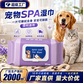 湿巾纸;湿厕纸;厨房用纸