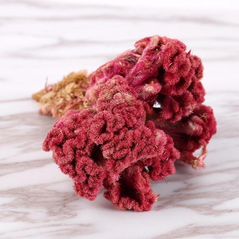 Dried Cockscomb Flower Ji Guan Hua Celosia Cristata Cut Herbal Tea Ingredient 1000g overview
