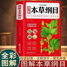 图解本草纲目 白话彩图典藏版医学知识读本 药学知识解读书籍