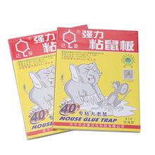 2022�¿��_��A1��׼��ճ���oζ�N���͏dӲ���及�������N�����z