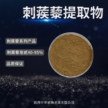 刺蒺藜提取物 刺蒺藜皂甙40%-95% 中萃 刺蒺藜提取物刺蒺藜皂甙